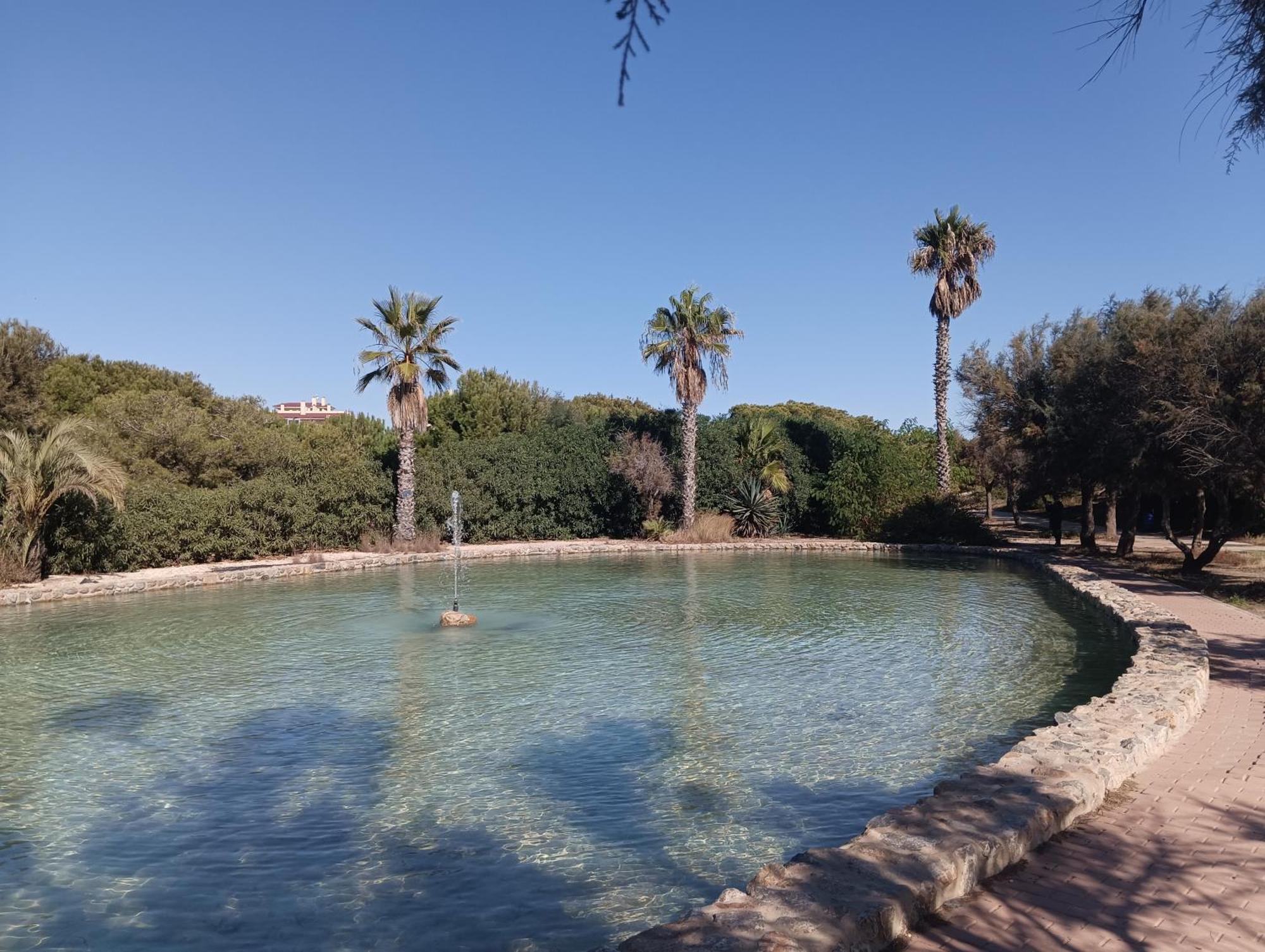 Bonito 150 M De La Playa La Mata Appartement La Mata (Torrevieja)