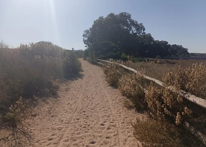 Bonito Apartamento 150 M De La Playa La Mata