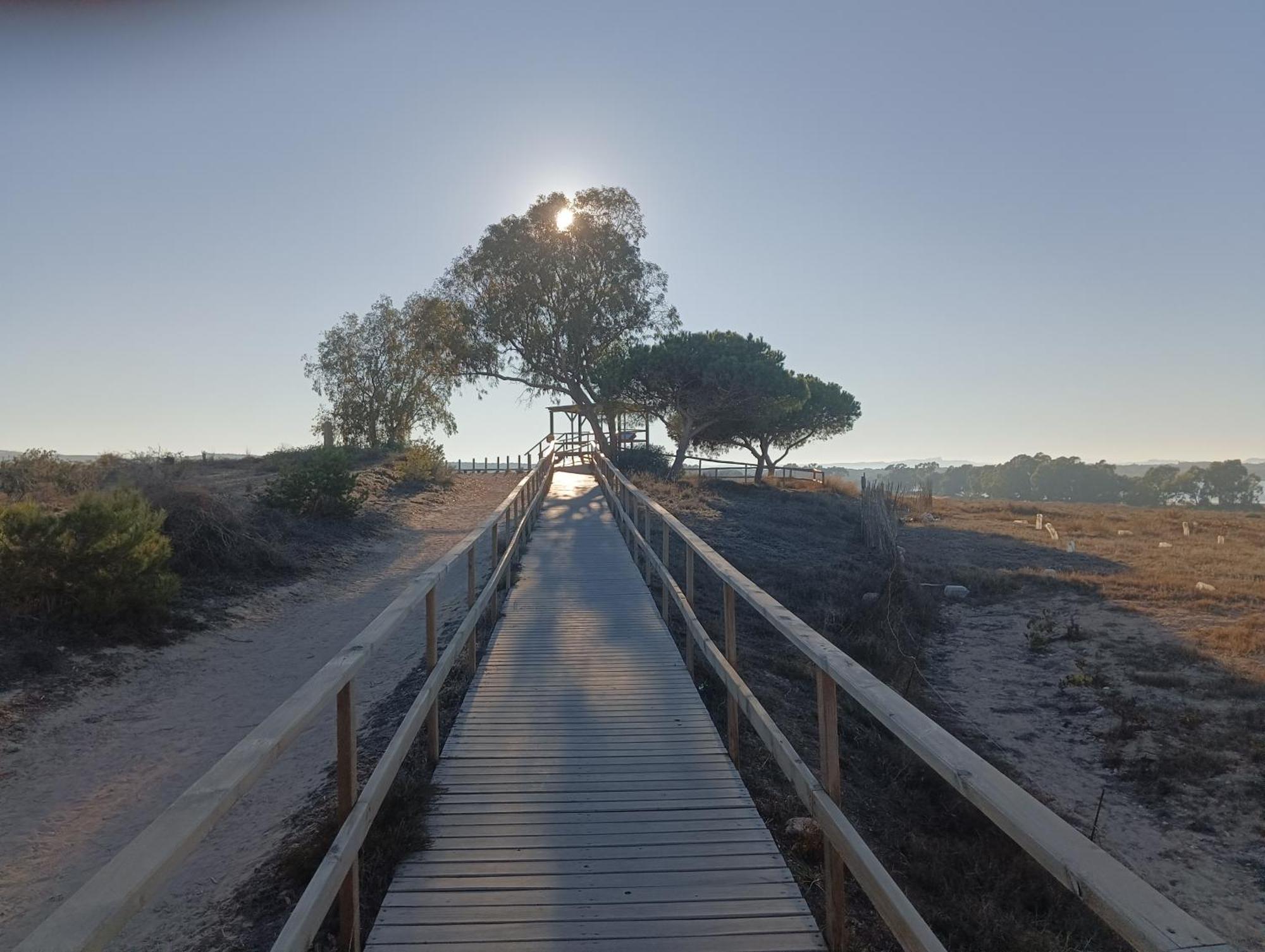 Bonito 150 M De La Playa La Mata La Mata (Torrevieja)