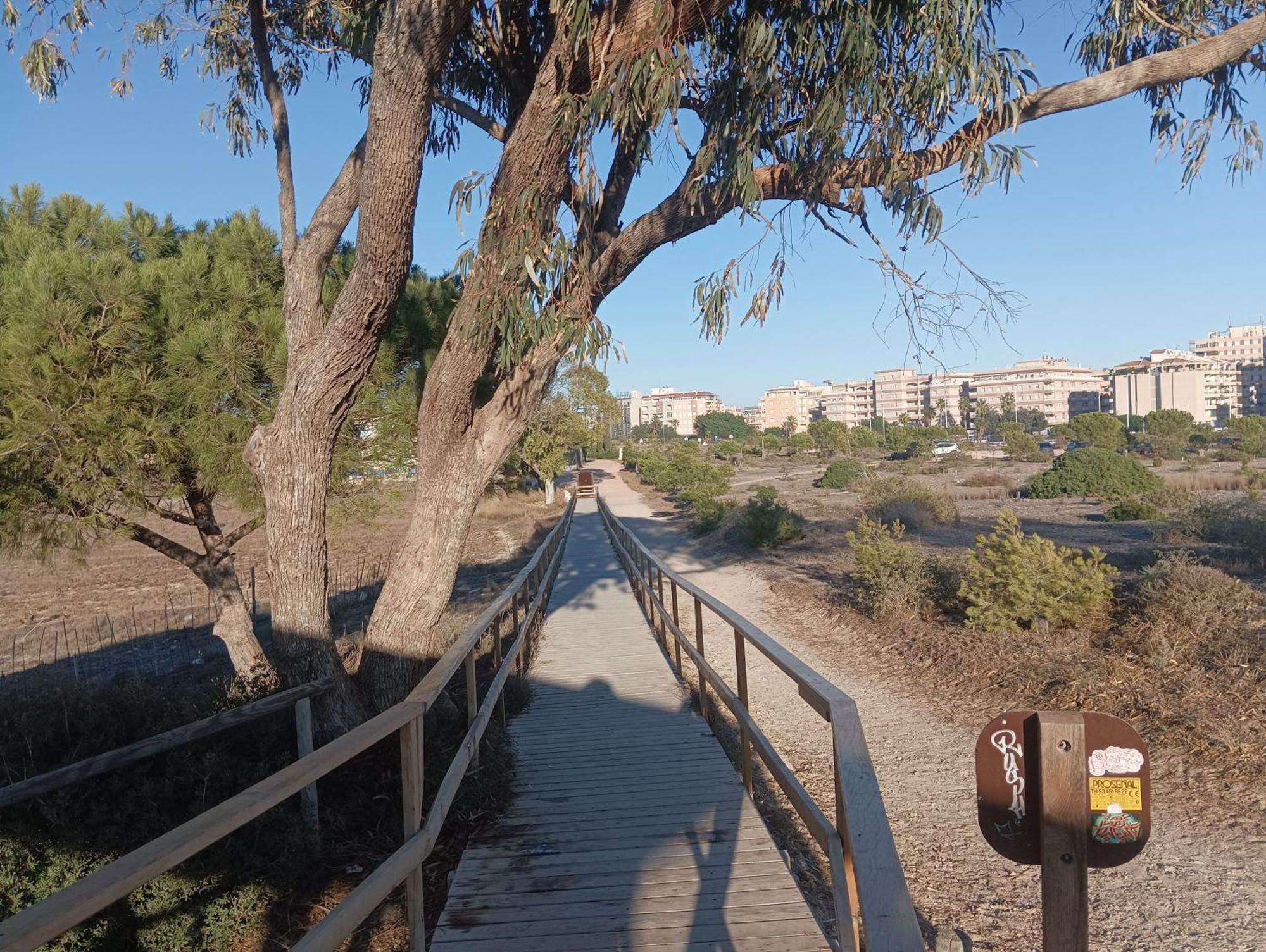 Apartment Bonito 150 M De La Playa La Mata La Mata (Torrevieja)