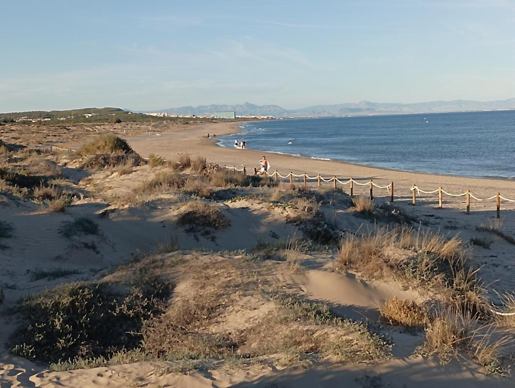 Bonito 150 M De La Playa La Mata Apartment *