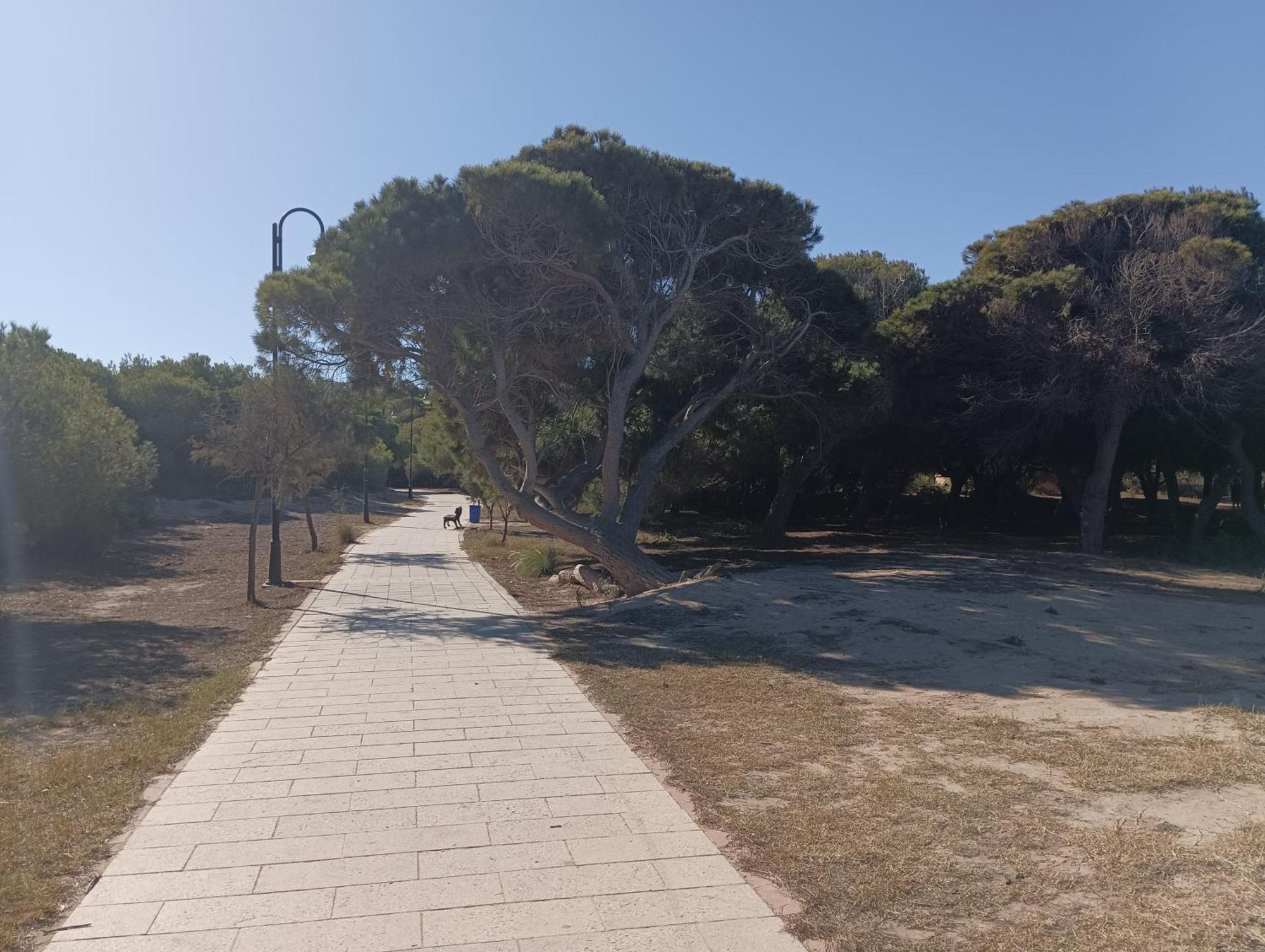 Bonito 150 M De La Playa La Mata La Mata (Torrevieja)